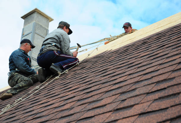 Roof Gutter Cleaning in New Glarus, WI